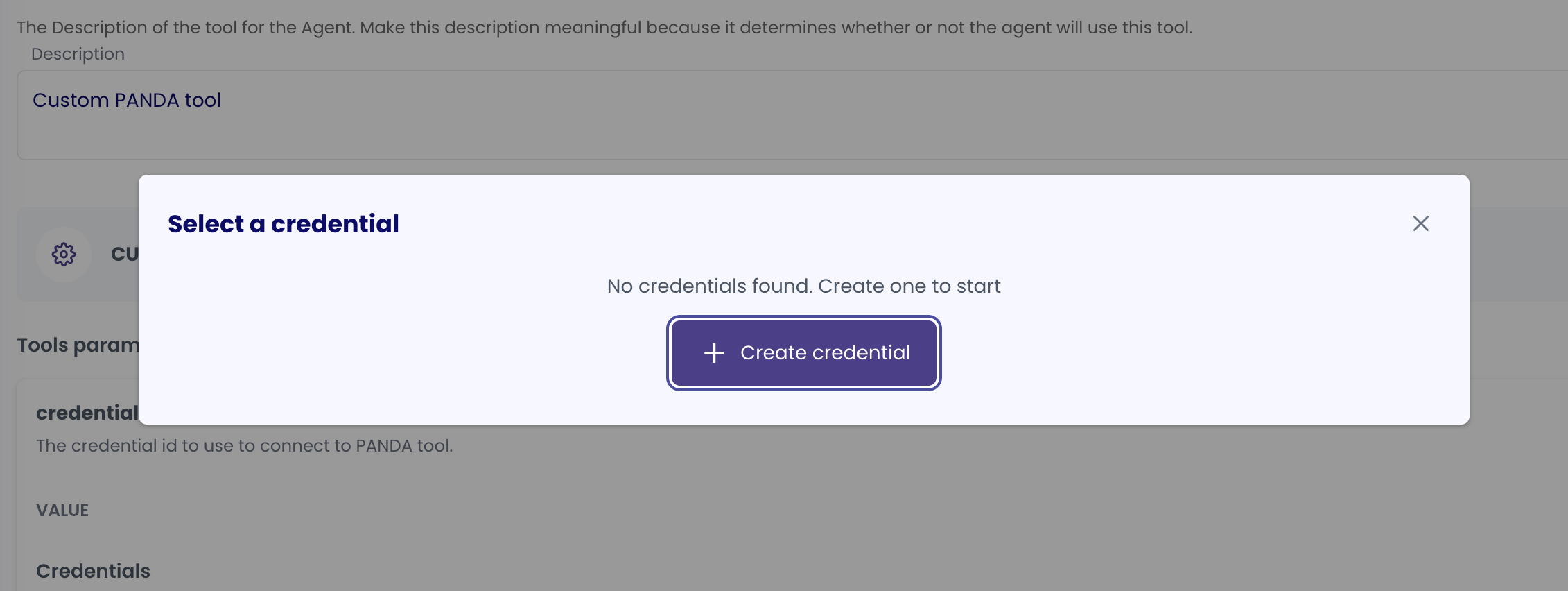 P.A.N.D.A API Key Credential Creation